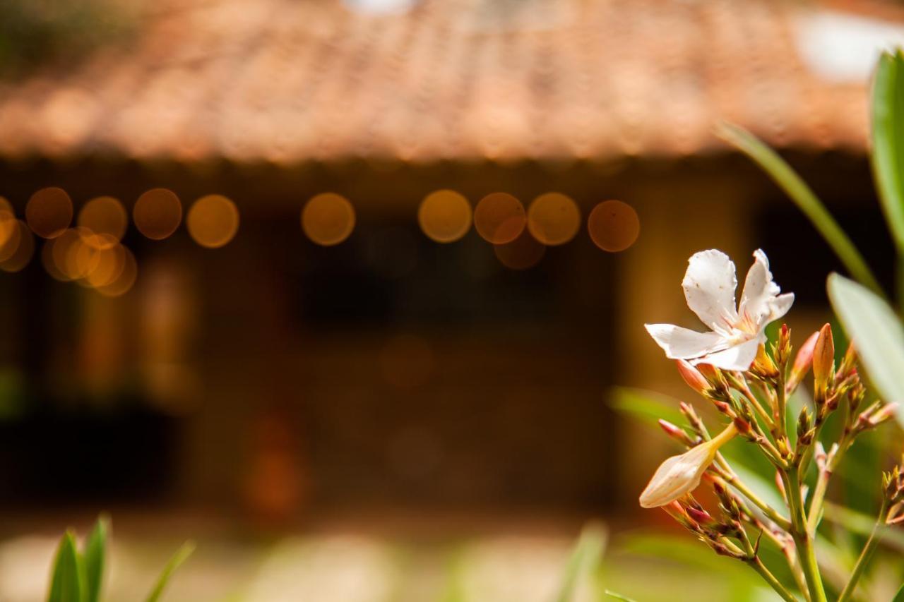 Clavellino House En Villa De Leyva - Tranquilidad Y Naturaleza En Reserva Natural Urbana! Экстерьер фото