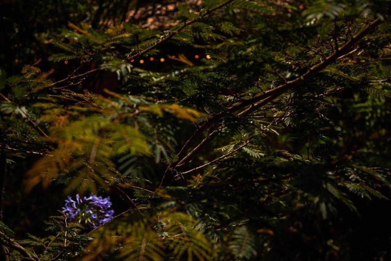 Clavellino House En Villa De Leyva - Tranquilidad Y Naturaleza En Reserva Natural Urbana! Экстерьер фото
