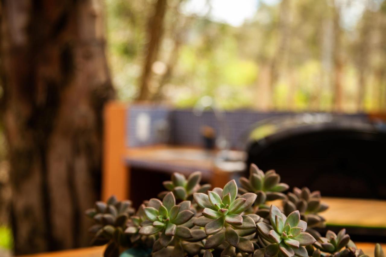 Clavellino House En Villa De Leyva - Tranquilidad Y Naturaleza En Reserva Natural Urbana! Экстерьер фото