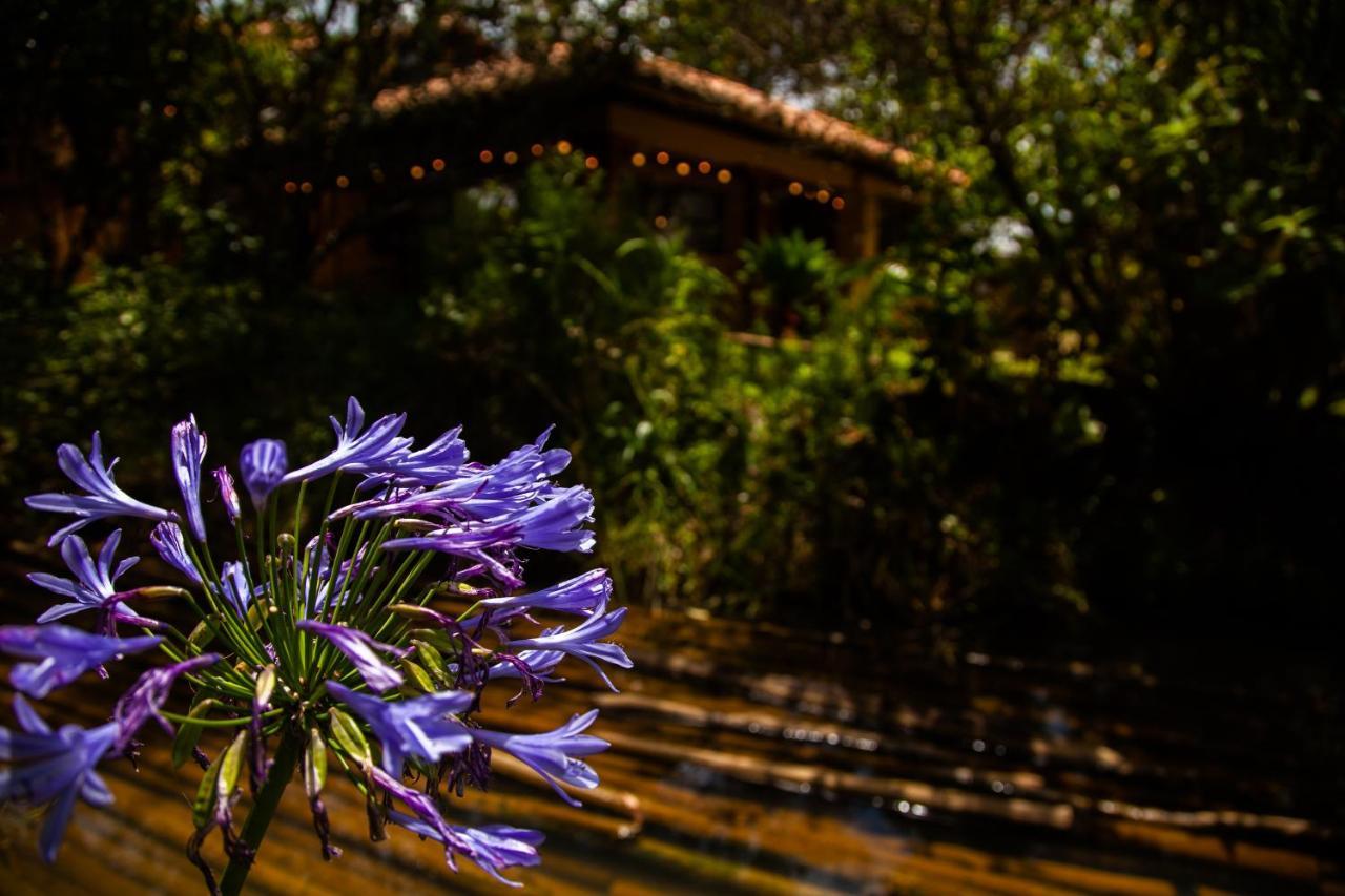 Clavellino House En Villa De Leyva - Tranquilidad Y Naturaleza En Reserva Natural Urbana! Экстерьер фото