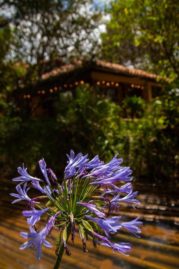 Clavellino House En Villa De Leyva - Tranquilidad Y Naturaleza En Reserva Natural Urbana! Экстерьер фото